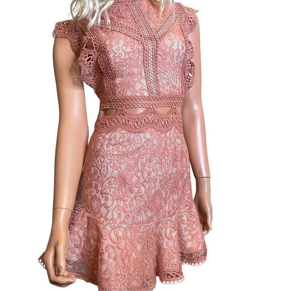 Indikah Dresses & Skirts - Indikah Rose Colored Lace Dress with midriff cutouts. Size XS
